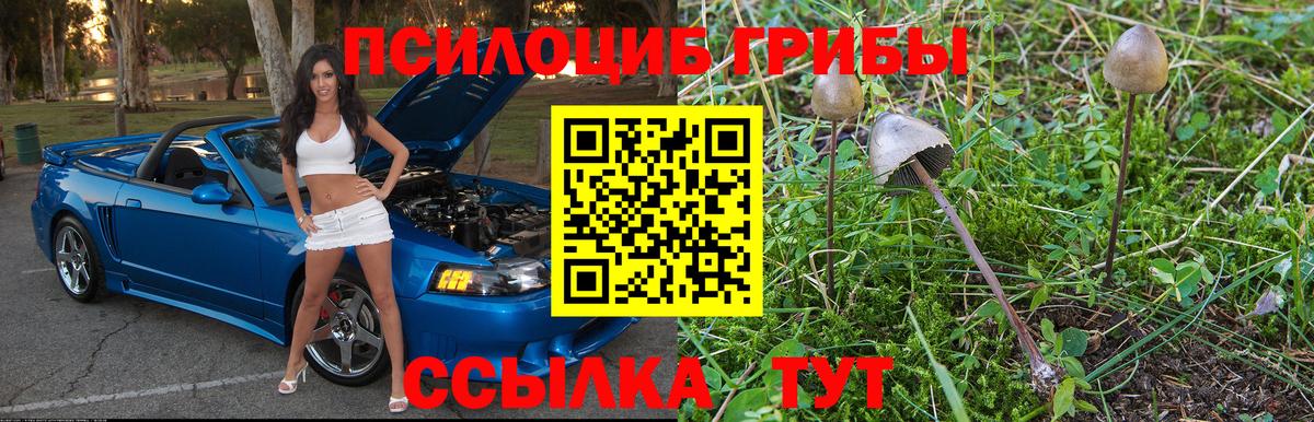купить закладку  Вход с VPN  Первоуральск  Псилоцибиновые грибы Cubensis 