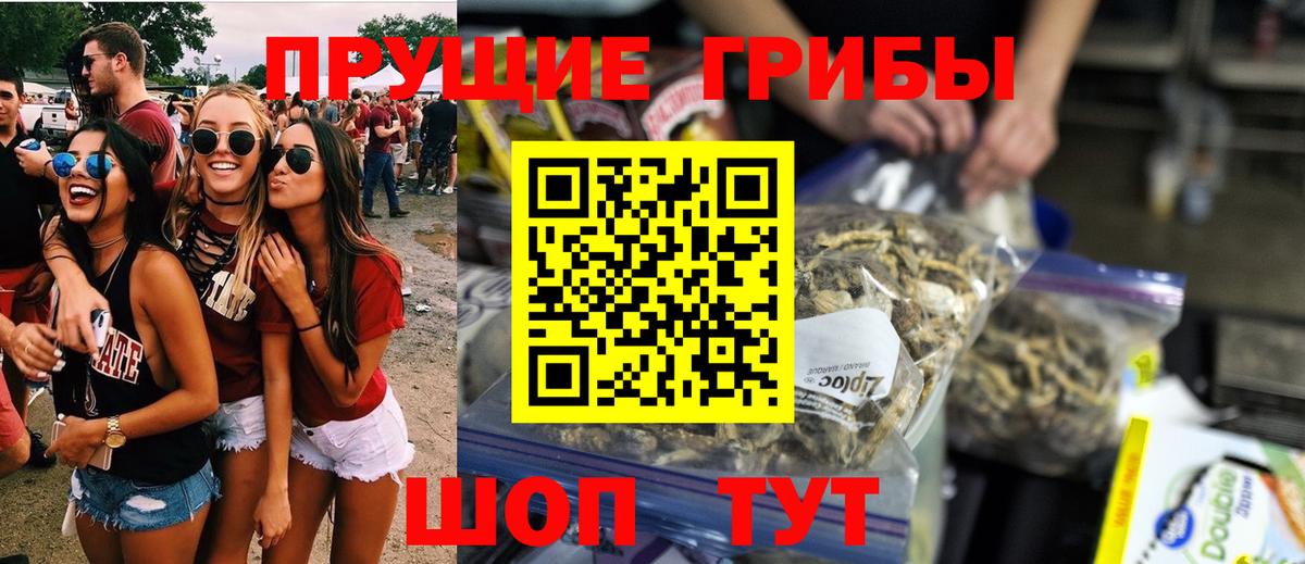Галлюциногенные грибы Psilocybe Первоуральск